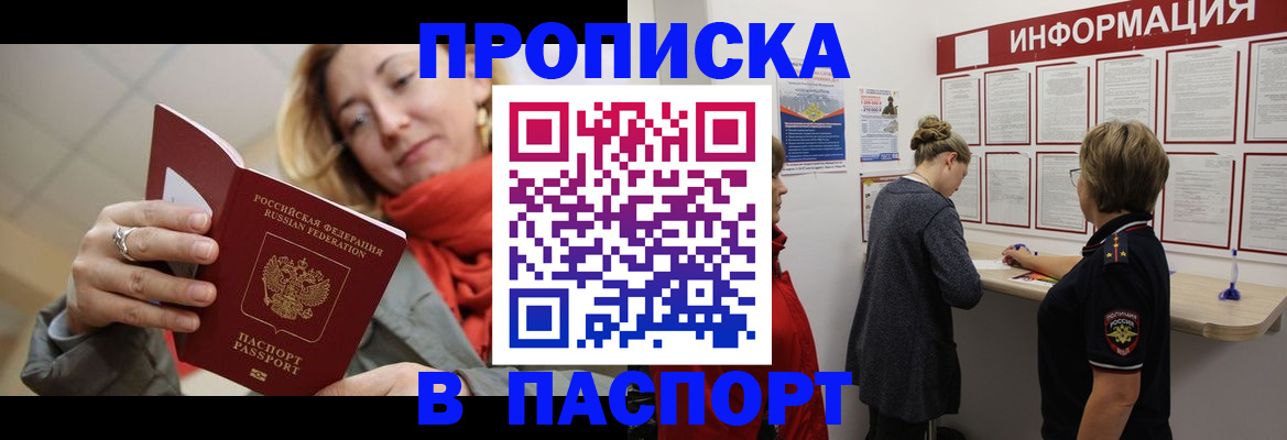 прописка поиск в Алейске